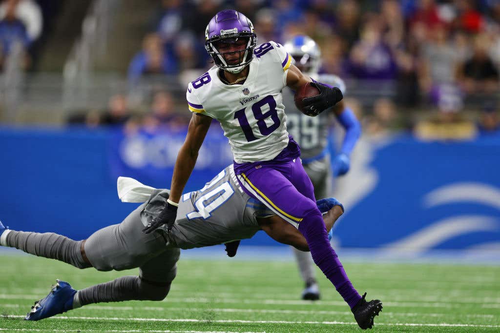 Minnesota Vikings Preview