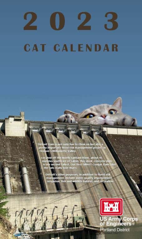 Calendar-back.jpg