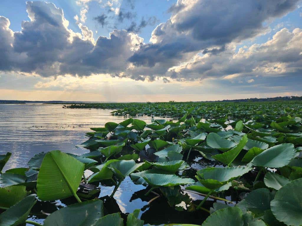 Orange Lake