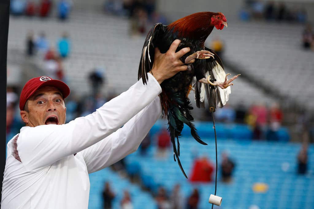 South Carolina chicken