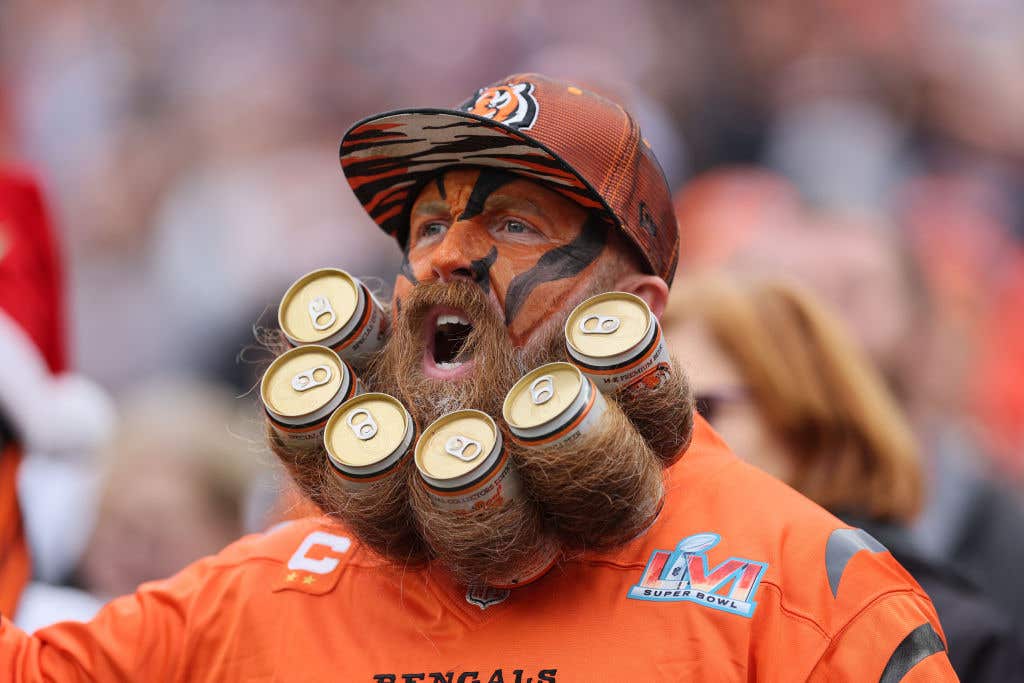 NFL's Most Optimistic Fan Bases Bengals