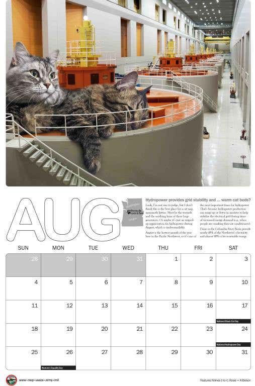 2024_cat_calendar_11x17_August-scaled.jpg