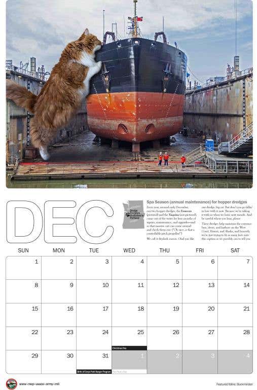 2024_cat_calendar_11x17_December-scaled.jpg