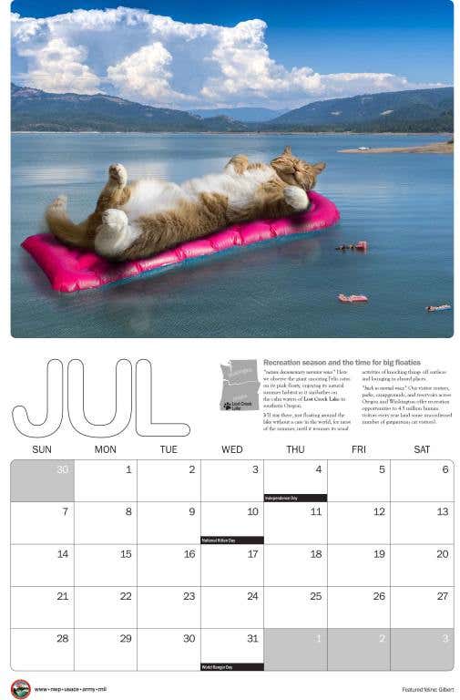 2024_cat_calendar_11x17_July-scaled.jpg