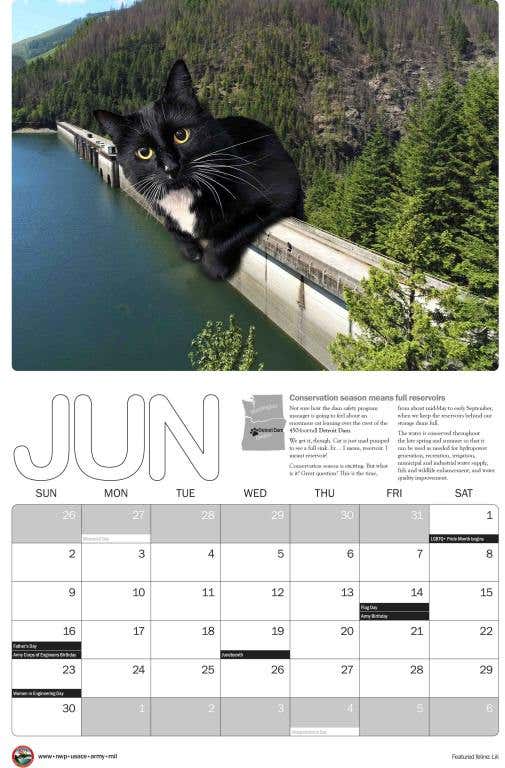 2024_cat_calendar_11x17_June-scaled.jpg