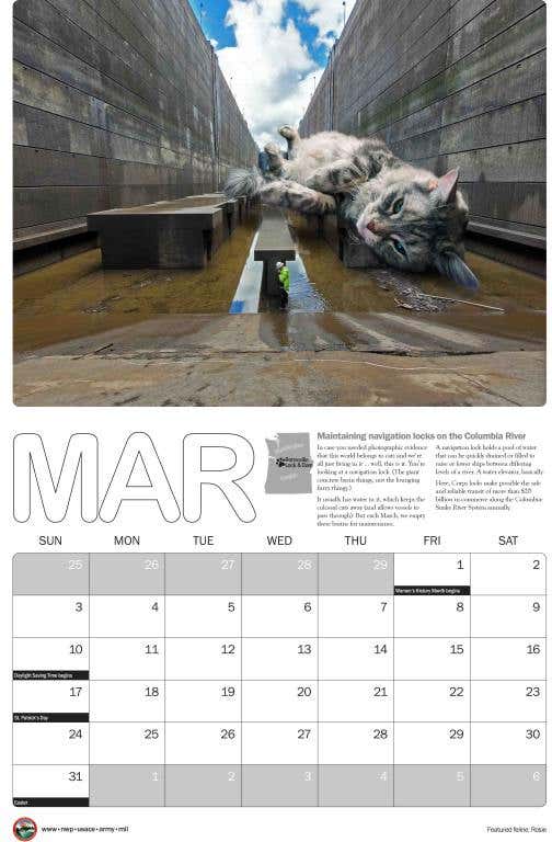 2024_cat_calendar_11x17_March-scaled.jpg