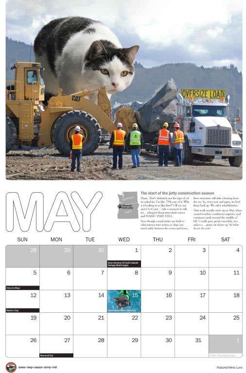 2024_cat_calendar_11x17_May-scaled.jpg