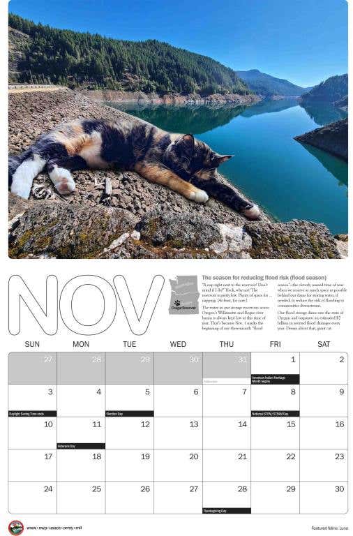 2024_cat_calendar_11x17_November-scaled.jpg