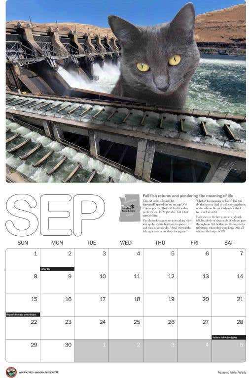 2024_cat_calendar_11x17_September-scaled.jpg