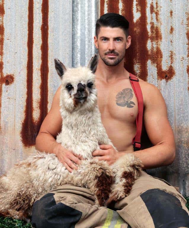 Brenden-Australian-Firefighters-Mixed-Animal-Calendar-2024-9-scaled.jpg