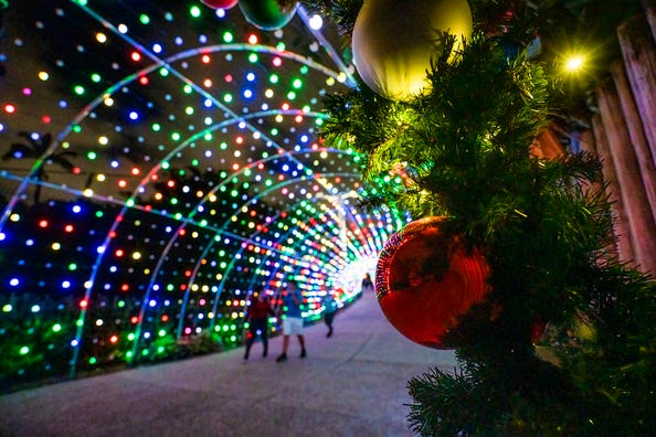 Christmas-Town-Light-Tunnel-3.jpg