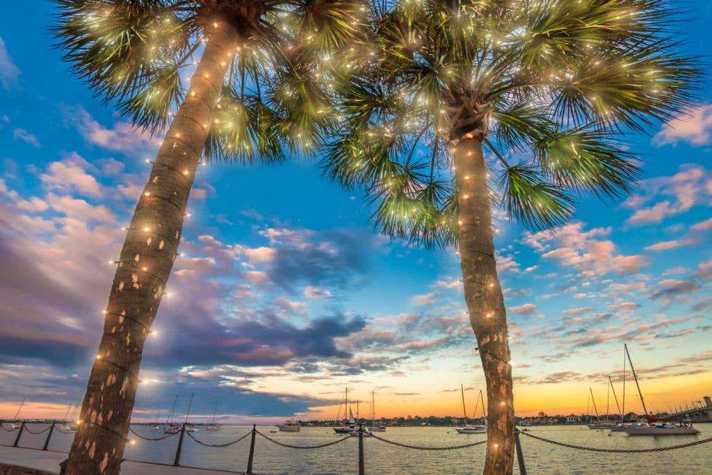 NOL_Bayfront_Palms_ShkdgcpLP1JDrsTA9EvOXCt18q0ABlZBh_rgb_l.jpg