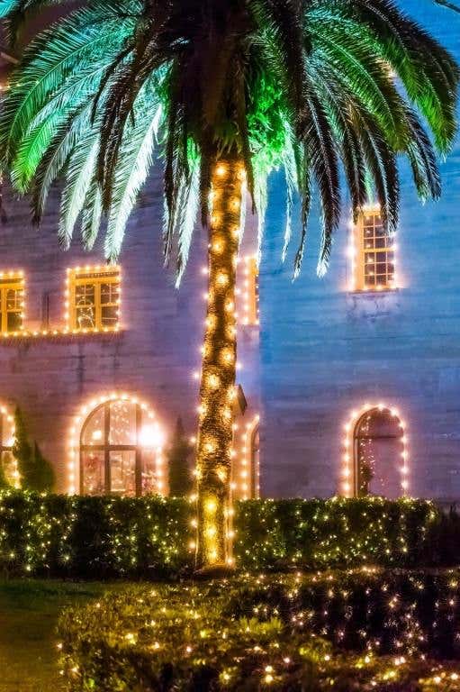 NOL_palm_tree_lightner_SRNF4MOIZVeZthARH20MCzo_rgb_l.jpg
